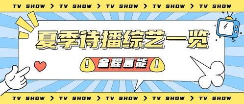 娱乐吃瓜海报,明星幕后故事与八卦风云