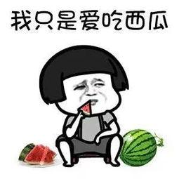 娱乐 吃瓜,吃瓜背后的真相与启示